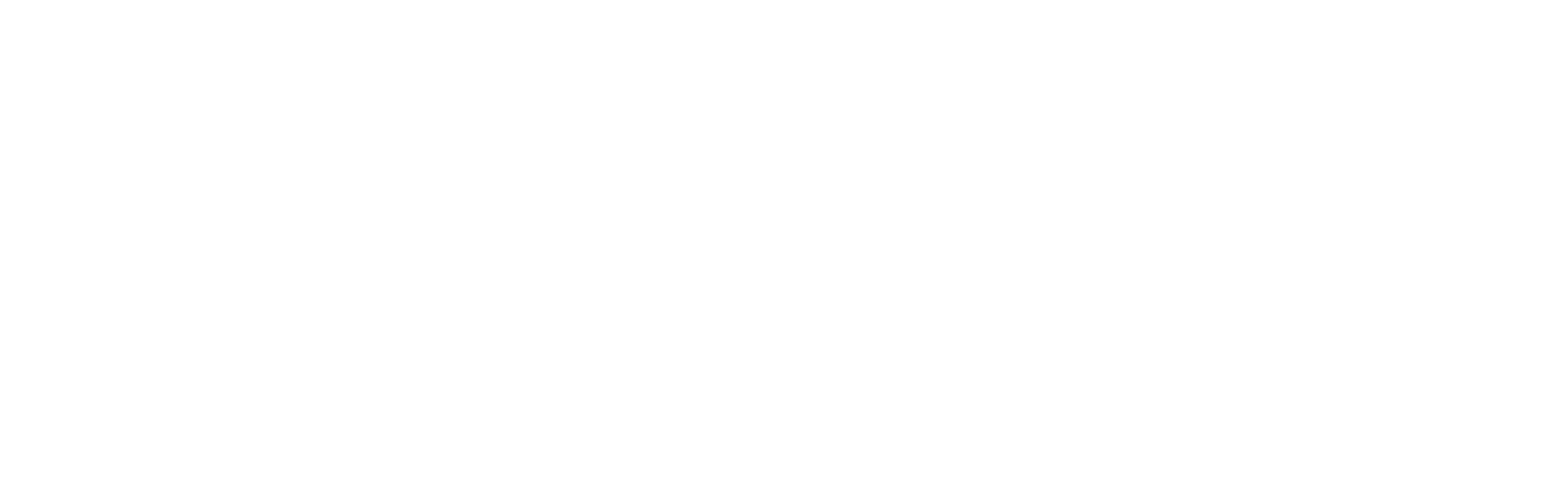 Denver Dance Logo